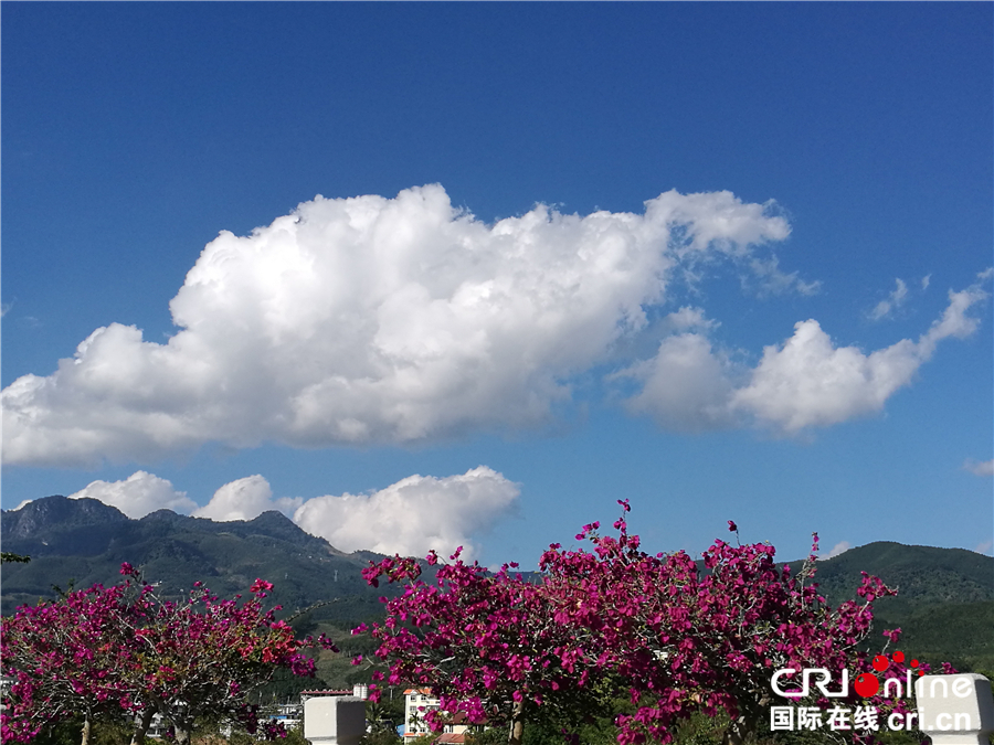 圖片默認標題_fororder_西雙版納隨手拍_副本