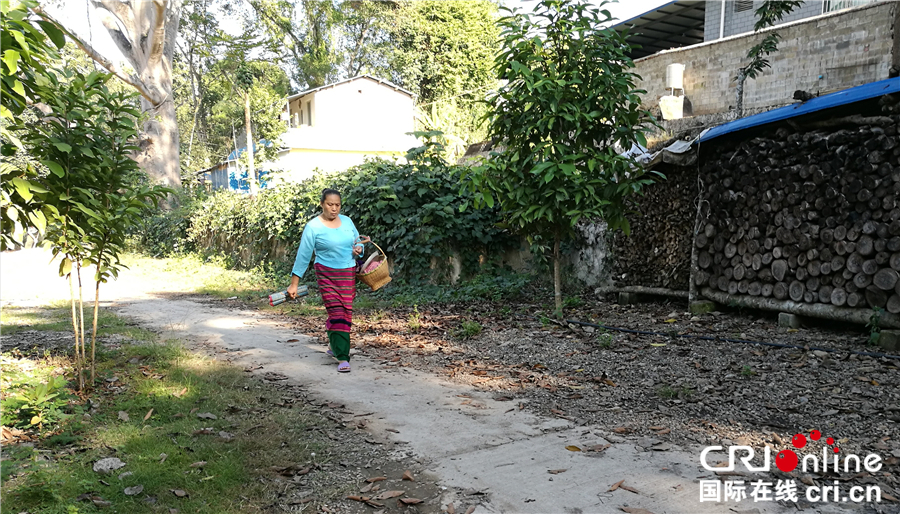 图片默认标题_fororder_提篮来村口老井灌水的傣族妇女(台林珍拍摄)_副本