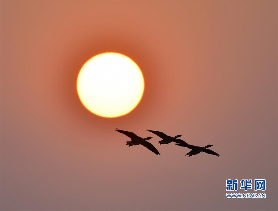 江西南昌：夕陽渡飛鳥
