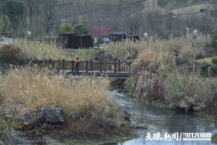 （中首）貴陽雙龍生態公園：踏雪尋梅