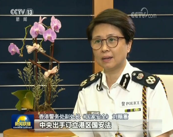 香港警队宪委级图片