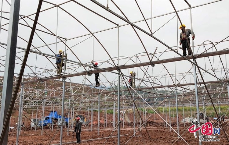 （转载）忙春耕抓生产 宜宾长宁奋力夺取“三农”工作开门红