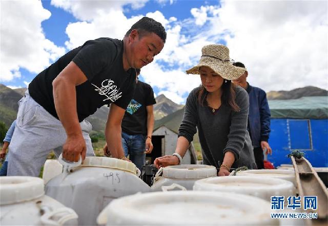西藏发展高原养蜂 推动蜂农 “甜蜜事业”