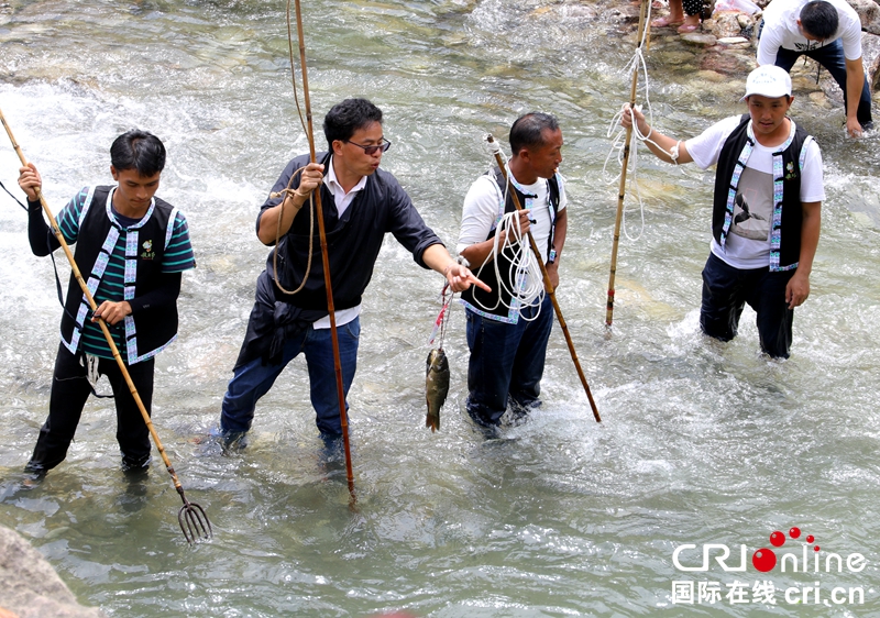贵州福泉“清水江杀鱼节”乐翻天（组图）