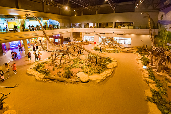 自贡推出春季五大主题游 倾听自贡春季的告白_fororder_4恐龙博物馆展厅（摄影-廖志全）