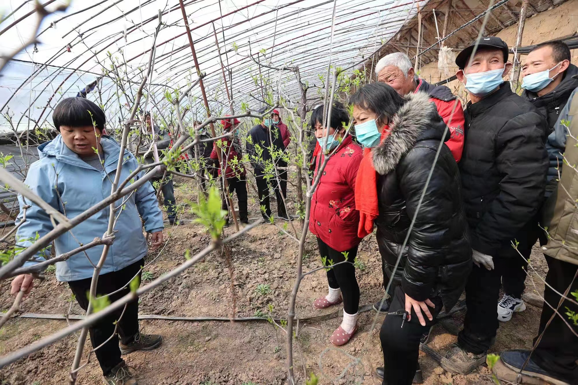 人勤春來早，實幹正當時 ——渭南市大荔縣開展幹部春訓活動側記_fororder_171573362