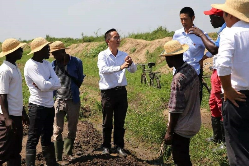 Kasar Sin na taimakawa kasashen Afirka shawo kan fari da tamowa_fororder_220224-Bello-aikin noma
