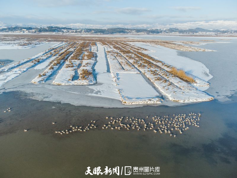 貴州威寧：春日草海 美景如畫