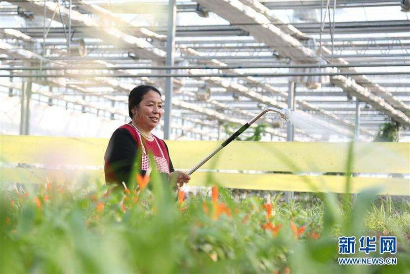 Học giả Việt Nam khen ngợi Trung Quốc đã thực hiện nhiều biện pháp để tăng thu nhập cho bà con nông dân_fororder_src=http___pic1.hebei.com.cn_003_023_500_00302350063_4a66534f&refer=http___pic1.hebei.com