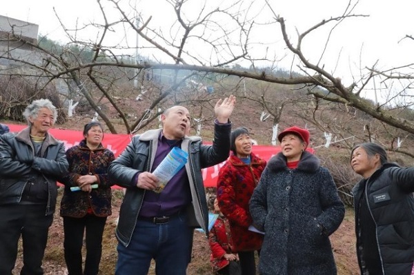 【原創】重慶巫山：將脆李春管技術送到田間地頭_fororder_1