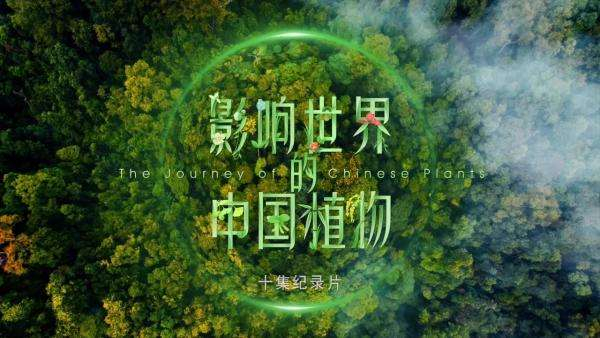 The first botanical documentary to be released during Beijing Expo 2019_fororder_2