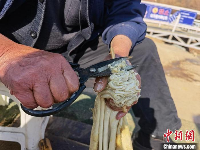 图片默认标题_fororder_d2dabafa-791c-4b61-a691-3b66bc3ce830_zsite