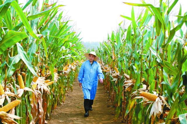 ທ່ານຈ້າວຈີວຢານ ຫົວໜ້າກອງສາລີ_fororder_赵久然4