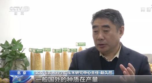 ທ່ານຈ້າວຈີວຢານ ຫົວໜ້າກອງສາລີ_fororder_赵久然