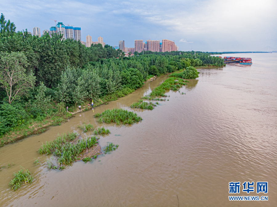 长江武汉关水位达到警戒水位 航拍白沙洲被淹