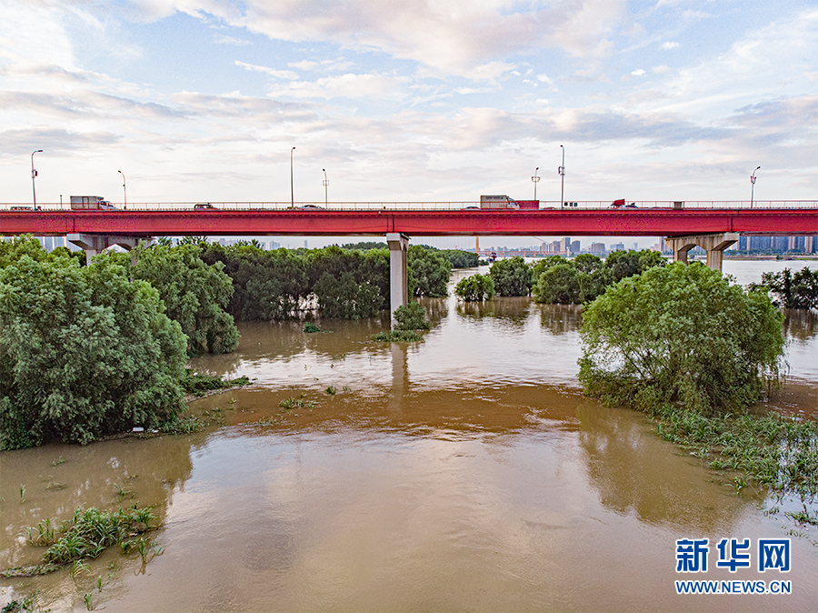 长江武汉关水位达到警戒水位 航拍白沙洲被淹