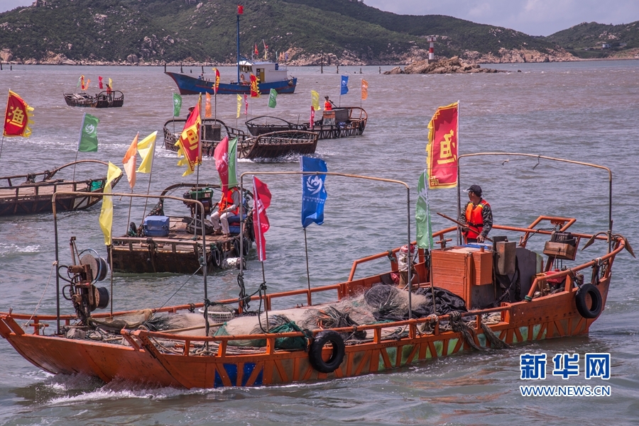 【焦点图】开洋看海 渔悦沙埔