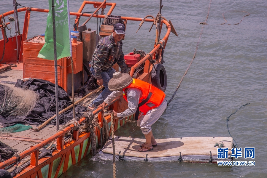 【焦点图】开洋看海 渔悦沙埔