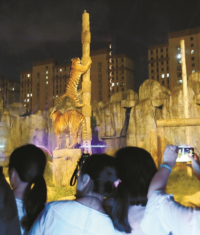 在上海植物园、辰山植物园等生物基地 暑期夜游名额一推出即被秒抢