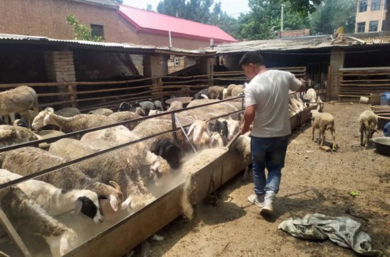 红色引领 绿色发展 书写脱贫攻坚的河北答卷