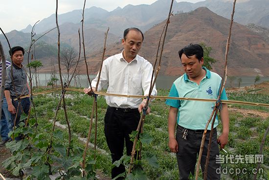 用生命撑起为民的晴空 ——追记晴隆原县委书记姜仕坤