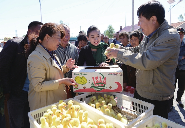 吉林省四平市：築牢保障防線 兜住民生底線