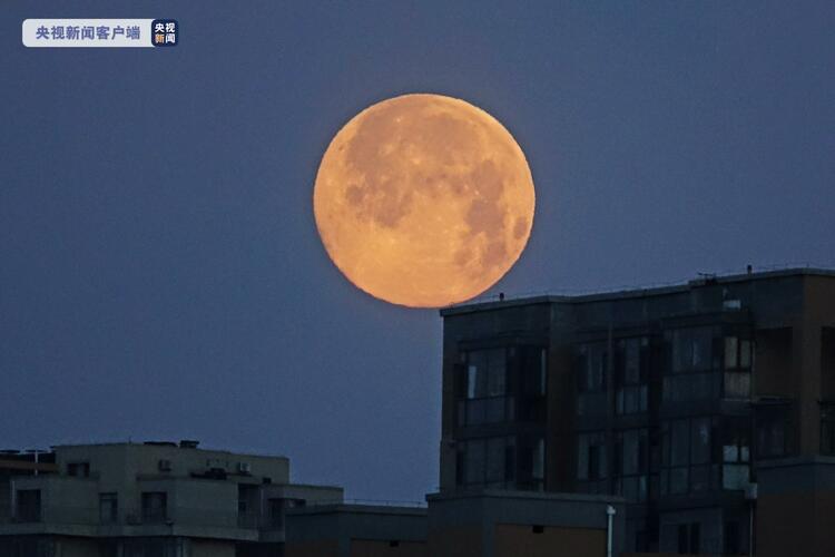 罕见虎年元宵节十五的月亮十七圆