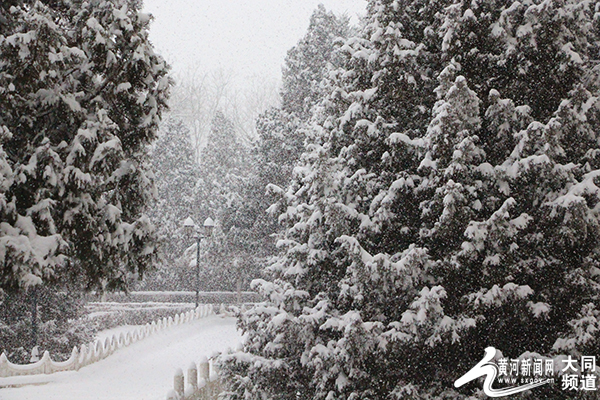 大同：飞雪迎春 虎年第一场雪如约而至