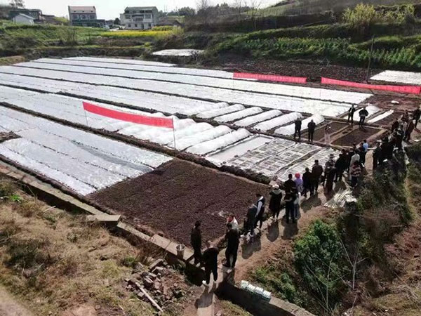 自贡市大安区召开大春生产育秧技术现场培训暨动员会_fororder_2培训现场