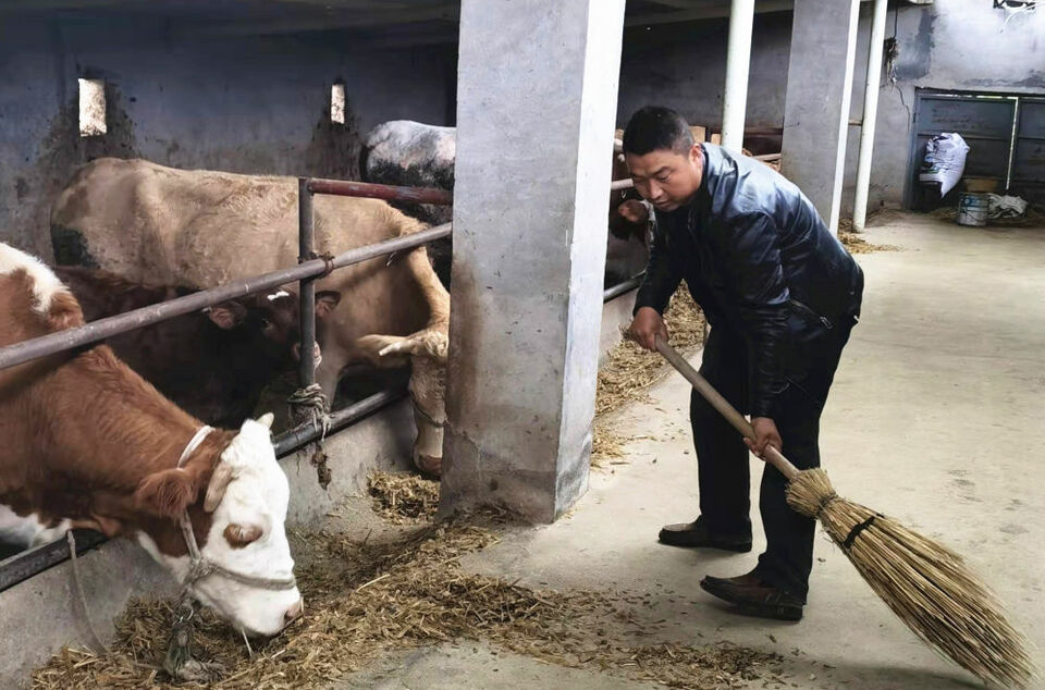 奋进新征程　建功新时代|山海情未了——闽宁协作助力乡村振兴新征程