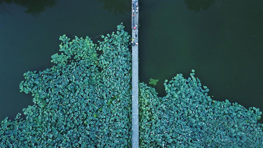 图片默认标题_fororder_20190805皖南2