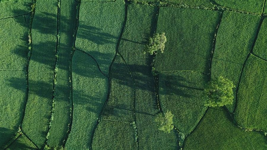 图片默认标题_fororder_20190805皖南5