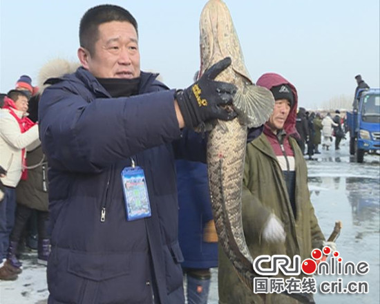 【CRI看吉林（標題+摘要）】【圖説吉林】【關東黑土（白城）】（推薦頁）：月亮湖冬捕頭魚拍到558888元  （內容頁）：吉林大安月亮湖冬捕開始 頭魚拍到558888元