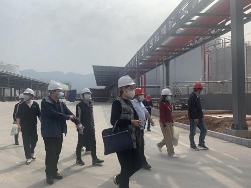 广东省江门市新会区政务服务大厅里的“她”力量