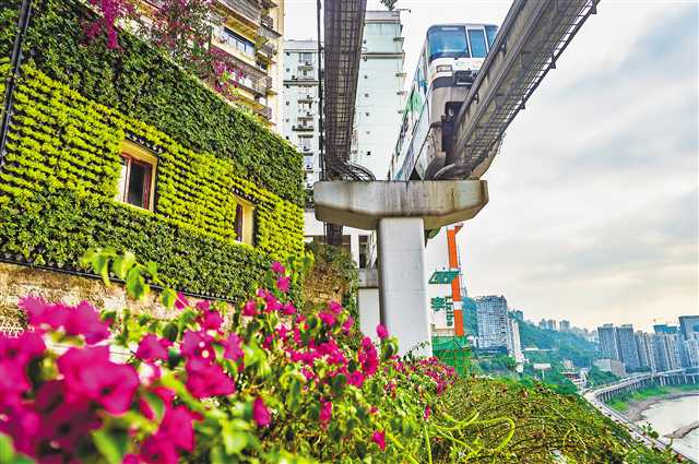 重庆：“开往春天的列车”景观升级
