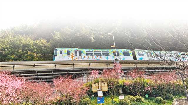 重庆：“开往春天的列车”景观升级