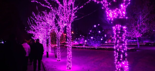 沉浸式体验青城夜景，网友直呼：“一直走到白头！”_fororder_2