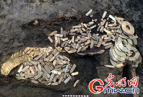 骊山脚下陪葬陵出土最早单体金骆驼，墓主还与秦始皇关系密切