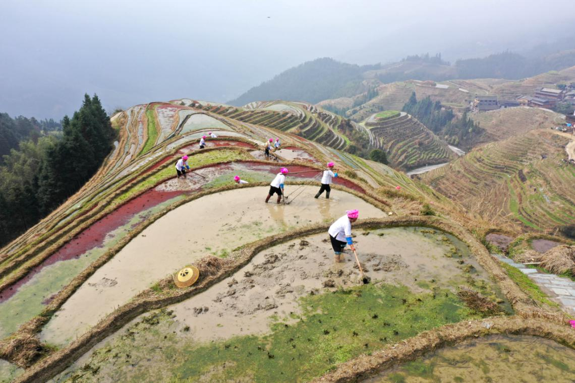 广西龙胜：春日正当头 田间地头备耕忙_fororder_图片 2