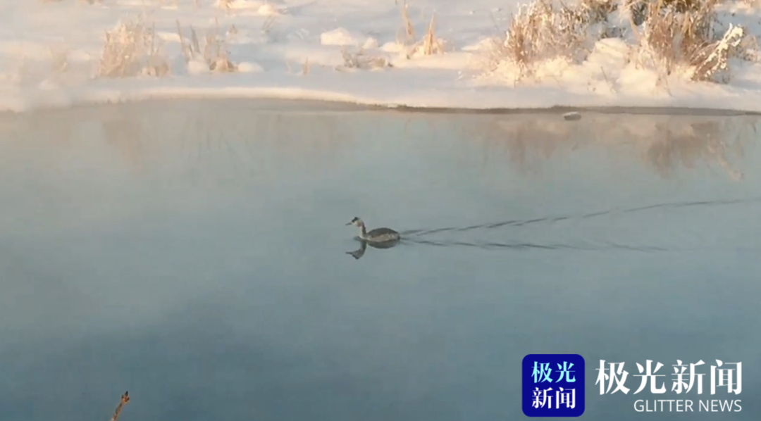 五大连池：讷漠尔河野鸭戏水雾凇美
