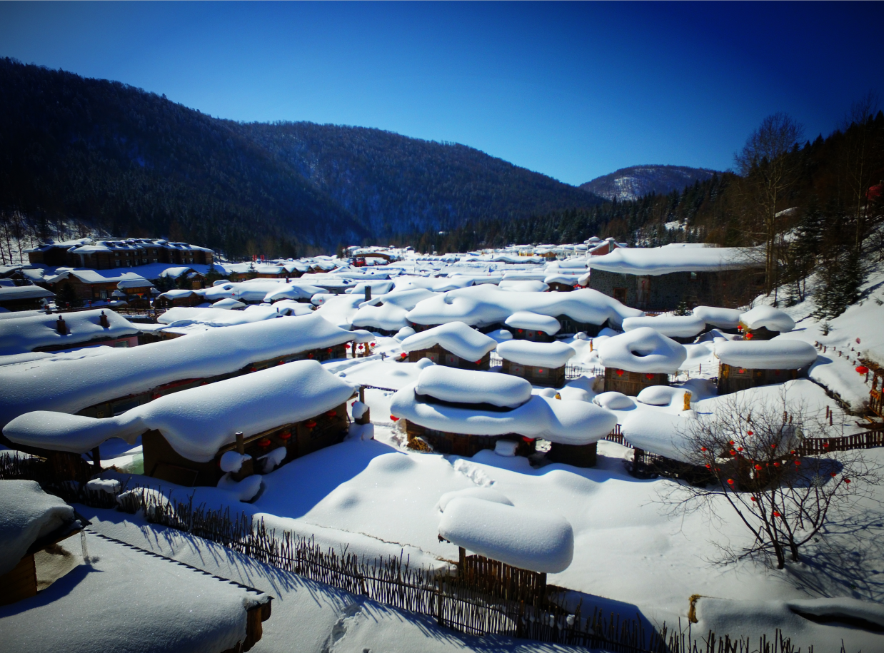 冰雪盛宴綻放龍江