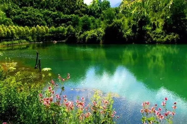 官鹅沟水美。13个大小不等、形态各异的湖泊,尤如一串绿色的珍珠镶嵌在沟内,湖水清澈透底,随湖底地貌高低呈不同颜色。