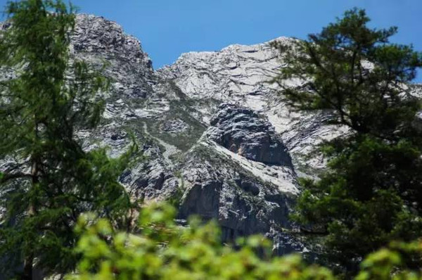 海拔4153米的雷古山,是陇南最高峰,山顶是终年不化的积雪,雪线以下是云雾缭绕的茫茫林海,既有黄山之雄伟,又有华山之奇险。云绕山而动,仿佛伸手就可以触到白云,水依山而流,清澈甘甜,潺潺流水声伴着你一路前行。