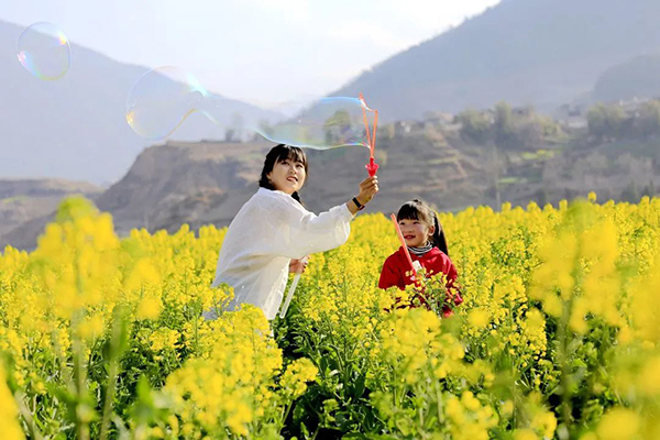 凉山州越西：花开成海等你来_fororder_游客与油菜花相映成画-供图-越西县融媒体中心