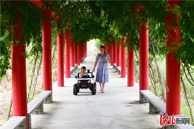 河北南和：提升乡村“颜值”，提高幸福指数