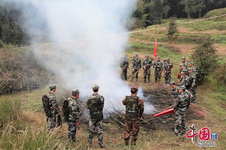 （转载）宜宾长宁：三级联动开展森林火灾应急演练