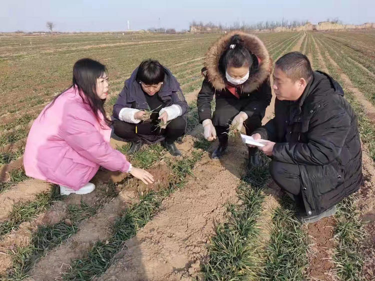 渭南澄城：春训加压鼓干劲 实干兴澄开新局_fororder_图片1