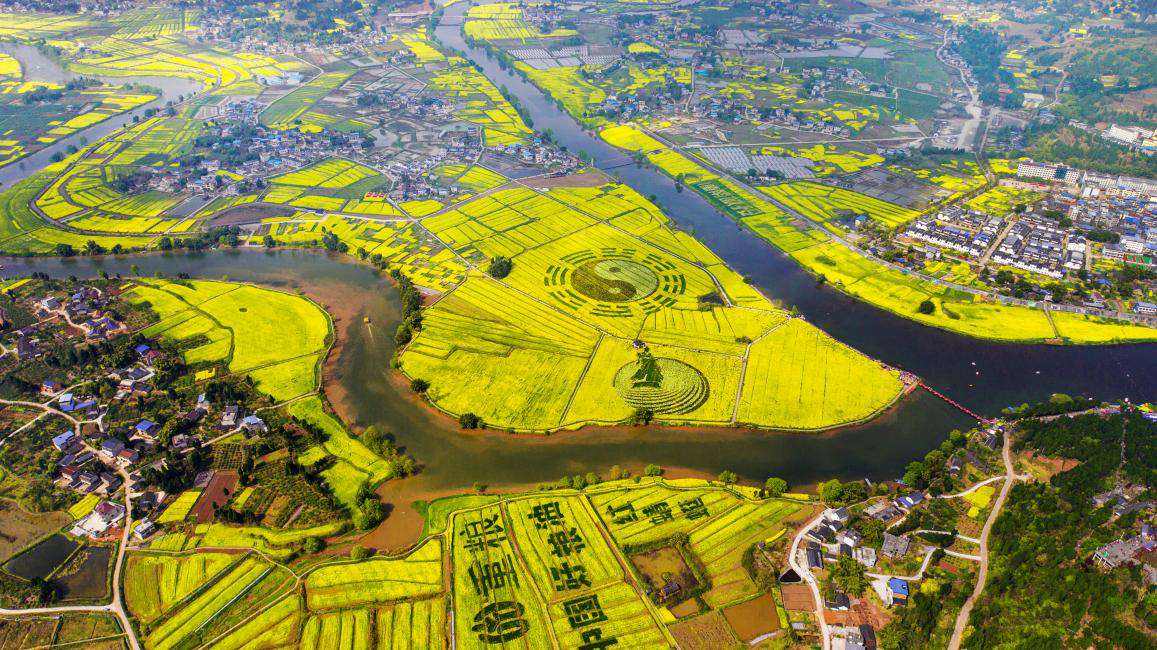 2022年重庆·潼南陈抟故里菜花节正式拉开赏花序幕_fororder_图片1