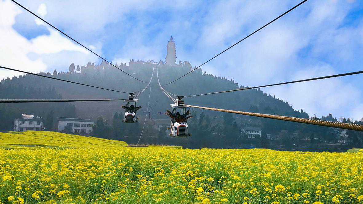 2022年重庆·潼南陈抟故里菜花节正式拉开赏花序幕_fororder_图片2