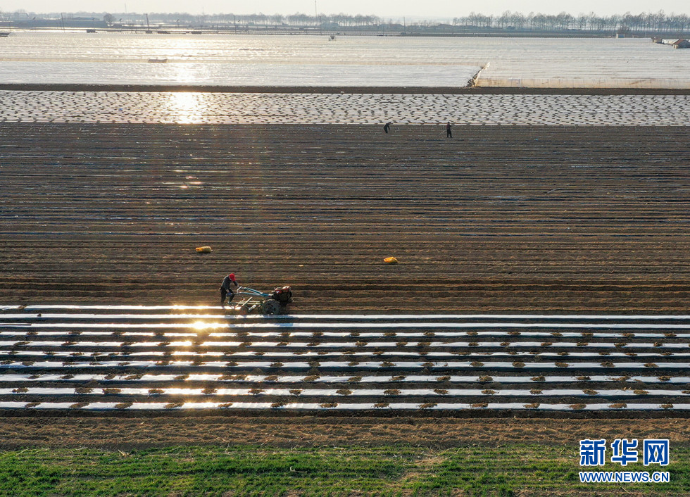 山東膠州:驚蟄過後春耕忙